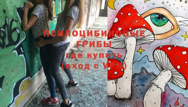 первитин Армянск