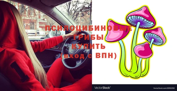 дживик Аркадак